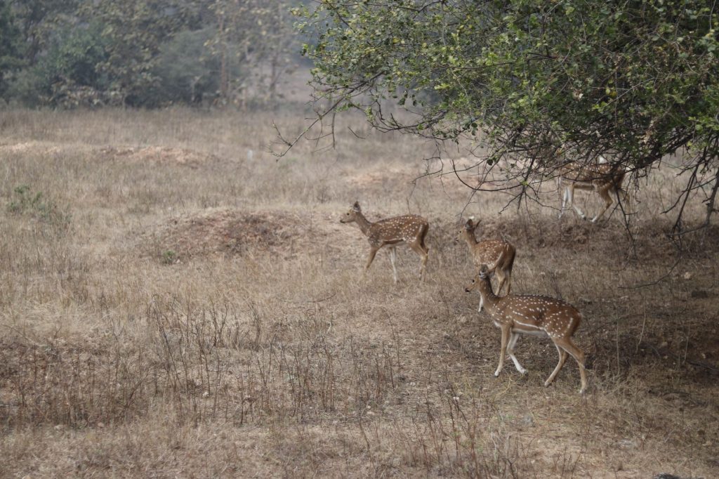 Nagpur VHA Ground to Change Hands on August 13