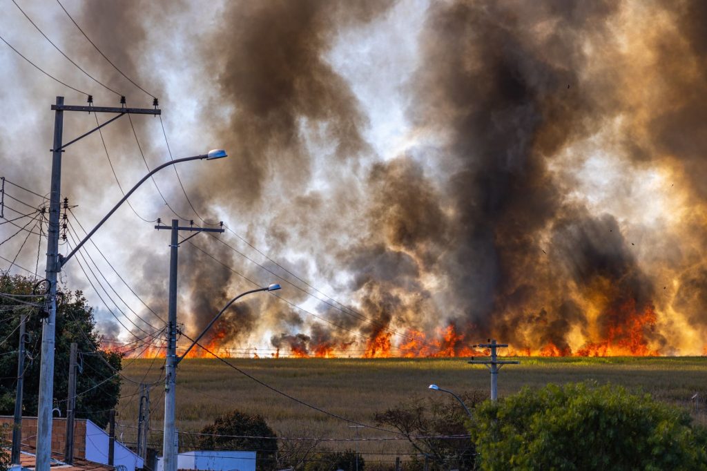 Canada Wildfires: Thousands Displaced as Government Intervenes