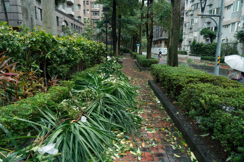 China Battles Typhoon Dolphin: Millions Evacuated