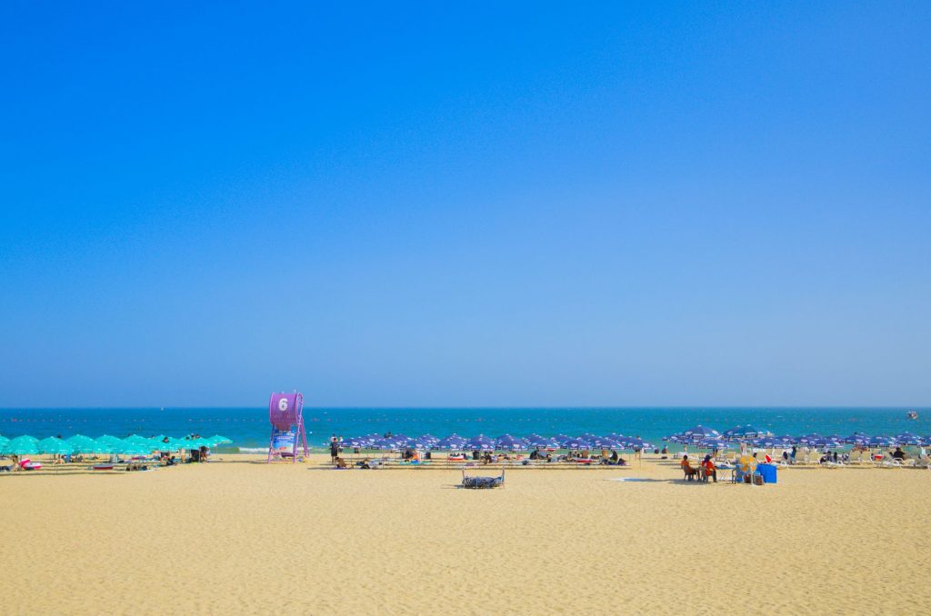 Oceans Hit Record-High Temperatures Amid El Niño