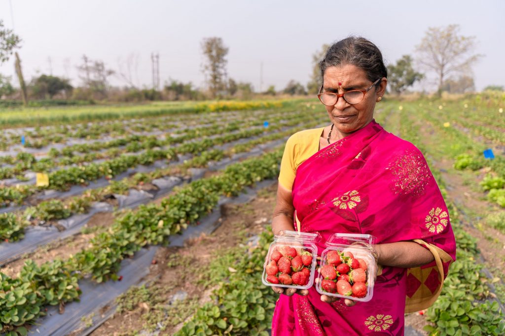 Seedless Berries & Bush Cherries: India’s Future Food?