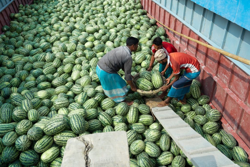 India’s Farm Export Dilemma