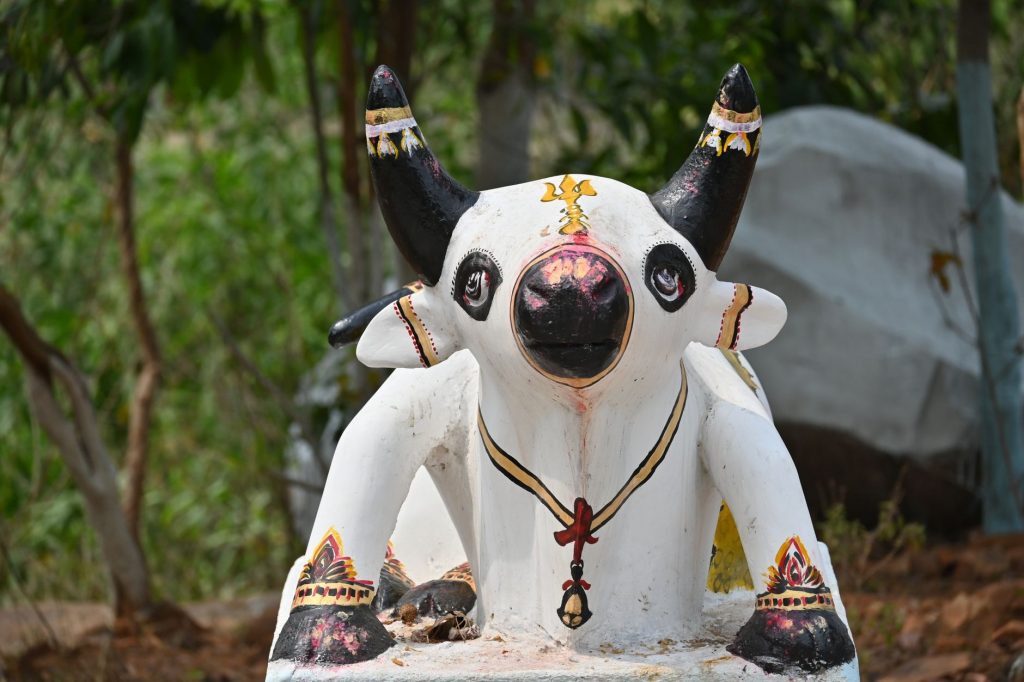 Nandi Bike Dangles in the Air, Leaving Netizens Awestruck