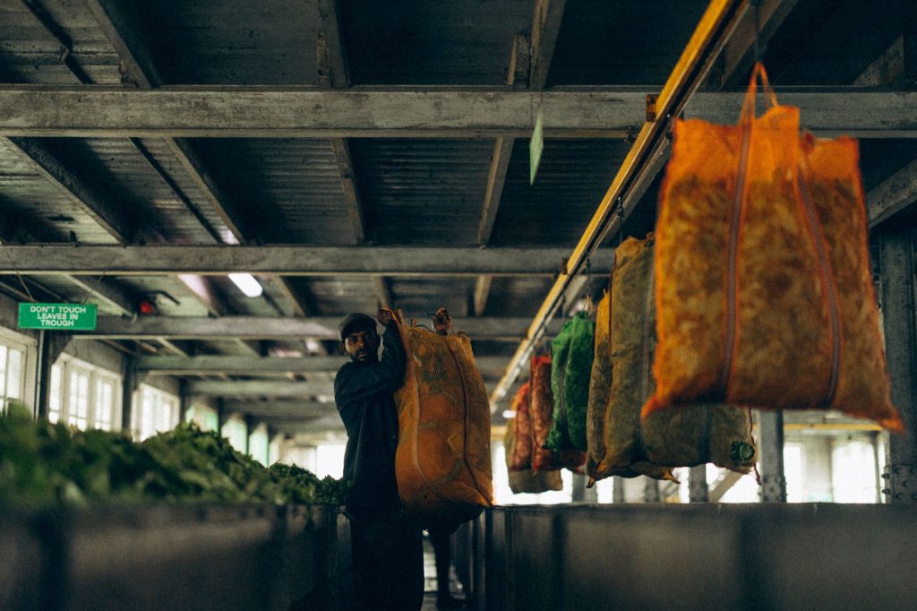 India’s Farm Exports Under Scrutiny: What’s Behind the Global Concerns?