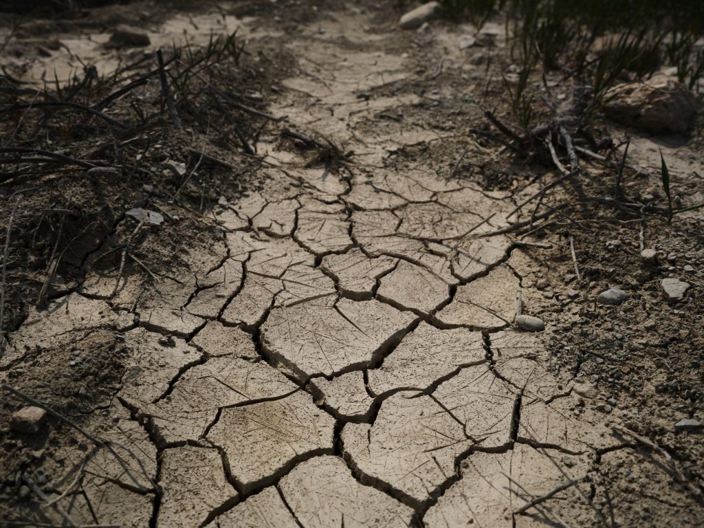 Europe Swelters: Summer’s Charm Fades Under Record Heat