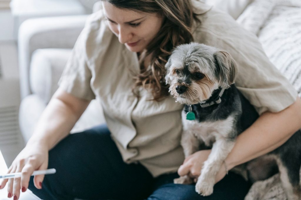 Pet Insurance Awards