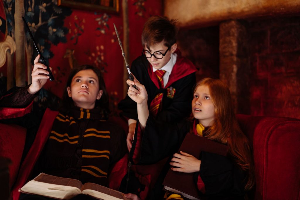 Harry Potter TV