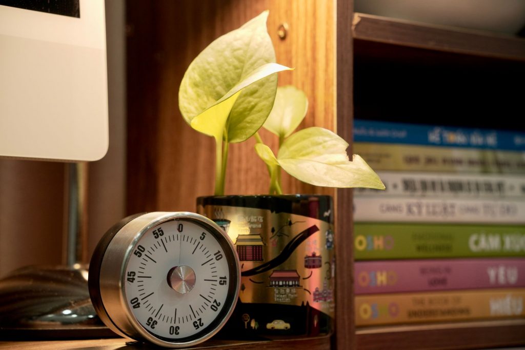 Auk Mini 2 Turns Your Home into a Lush Oasis