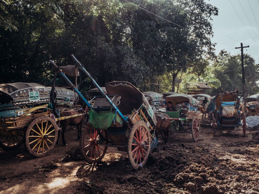 Myanmar Cholera Outbreak: A Cautionary Tale for India's Monsoon Season