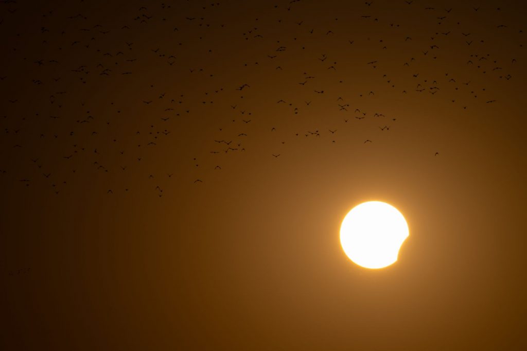 India Gears Up for Rare Solar Eclipse Doubleheader in 2027 and 2028