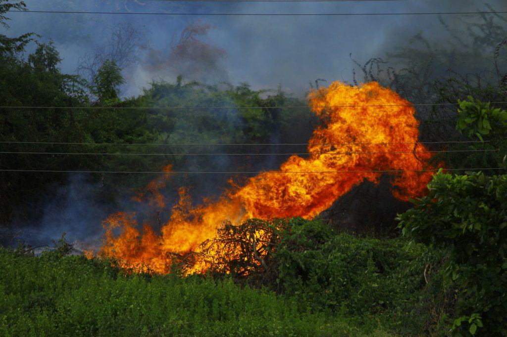 India Swelters Under Record-Breaking Heat Waves