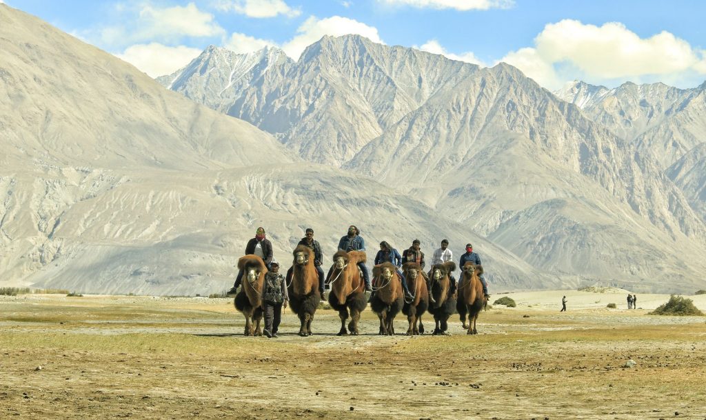 Ladakh Army Row: Woman Apologizes After Viral Video
