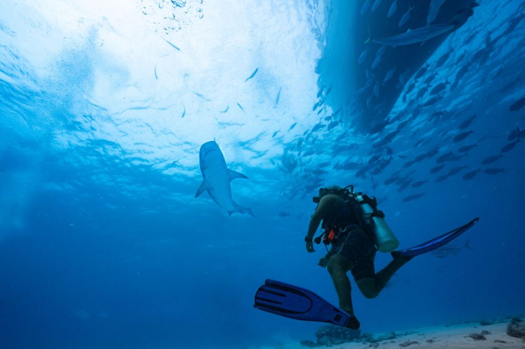 Shark Attack Survivor: ‘A Second Chance’