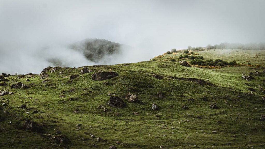 Centre, States to Probe Hill Ecology