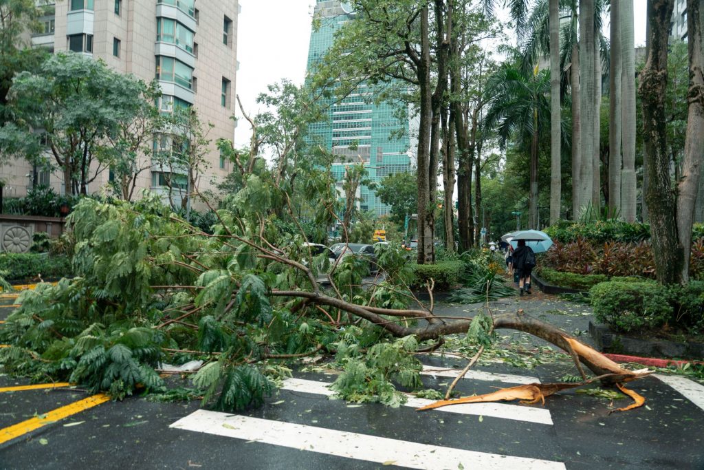 Typhoon Dujuan Triggers Mass Evacuations in Japan